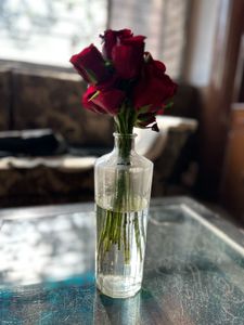 Glass Flower Vase