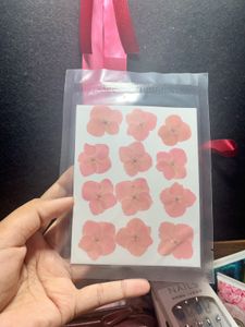 Resin Pressed Dried Flowers