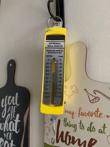 Spring Balance In Newton&#39;s And Grams