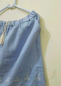 Ethics Skirt