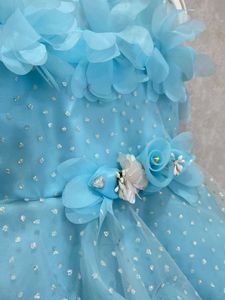 Cute Blue Party Dress For Girls