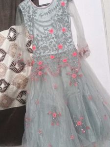 Elegant Ethnic Gown