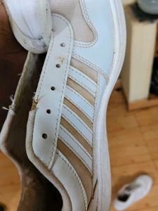 Sparx White Sneakers