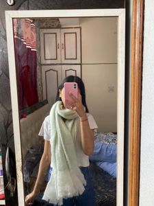 Light Green Xl Muffler