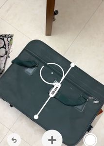 Skybags VIP luggage