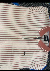 Striped Women Polo Top