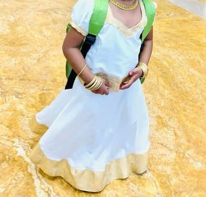Traditional Indian Girl&#39;s Dress