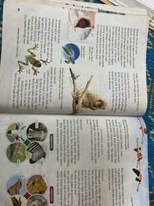 Science Magic Textbook