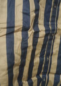 Striped Casual Shirt - New with Tags