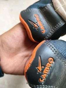 Sport Shoes