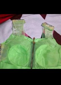 Designer Blouse With Back Net