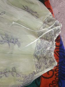 Elegant Ethnic Skirt