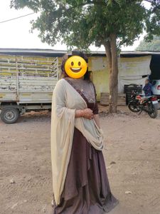 Elegant Brown Ethnic Dress