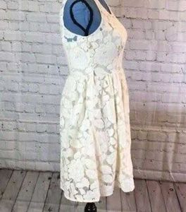 Lace - Net Dress