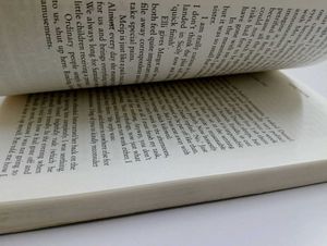 The Diary Of A Young Girl