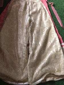 Elegant Ethnic Gown