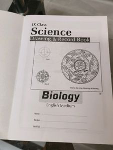 Drawing and Record Books, Map Pointing.