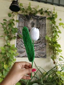 Crochet Handmade white Tulip Flower 🤍