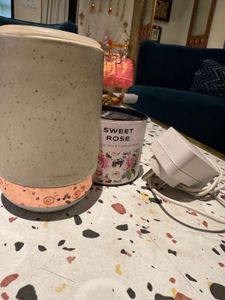 Diffuser &amp; Wax Melter