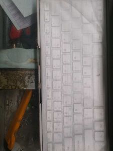Coconut Wireless Keyboard