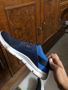 Campus Navy Blue Shoes Brand New Worn Once