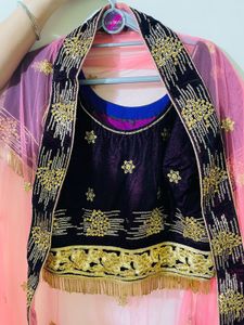 Embroidered Lehenga Choli