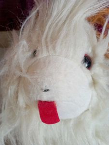 Dog Toys