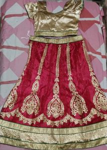 Red Embroidered Lehenga Choli