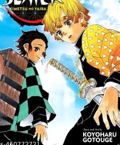 Demon Slayer Manga