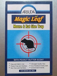 Mouse &amp; Rat Glue Trap