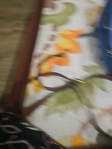 Fossil Rachel Satchel