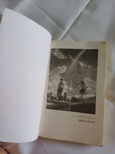 Your Name. Novel