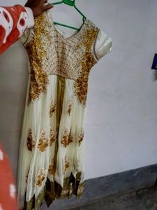 Elegant Ethnic Dress
