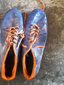 Sport Shoes