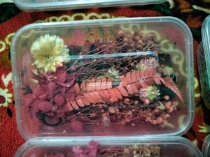 Dried Flower