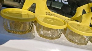 Glass Aesthetic Tiffin