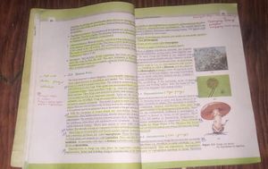 NCERT Biology Class 11th
