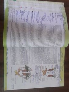 NCERT Class 11 Biology