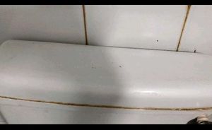 Plastic Cistern PVC Flush Tank Without Accessories