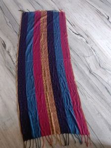 Striped Multicolor Scarf
