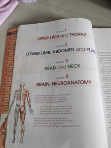 BD Chaurasia&#39;s Human Anatomy Vol 1