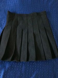 Pleated Skirt