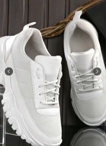 shoe