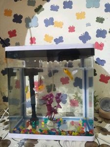 🐠 🐟 🐠 🐟 Fish Aquarium 🐠🐟🐠🐟