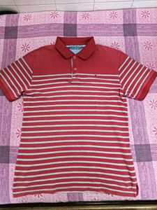 Red Polo Tshirt 👕