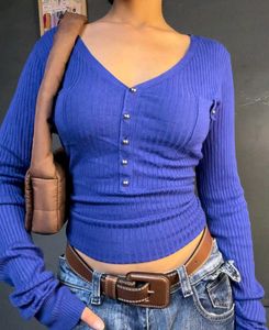 Blue Long Sleeve V-Neck Top