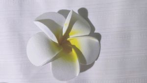 White And Yellow Flower Hair Accessories