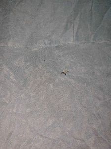 Grey Round Flared Suit/Gown