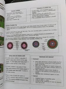 Xylem Biology Neet Notes