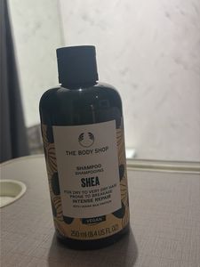 The Body Shop Shea Shampoo